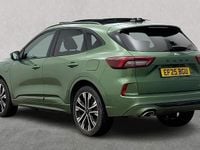 Used Ford Kuga ST-Line X 2025 Green SUV