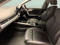 Used Audi A4 Sport 150 HP (110 kW) 2023 White Sedan