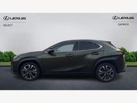 Used Lexus UX 300h 2025 Green SUV