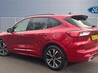 Used Ford Kuga ST-Line X 190 HP (139 kW) 2023 Red SUV