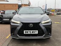 New Lexus NX450h+ Sport Line 2026 SUV
