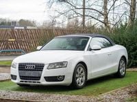 Used Audi A5 Cabriolet Comfort 211 HP (155 kW) 2011 White Cabriolet