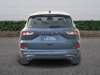 Used Ford Kuga ST-Line X 120 HP (88 kW) 2021 Blue SUV