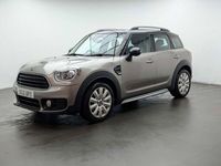 Used Mini Cooper Countryman 136 HP (100 kW) 2017 Silver SUV