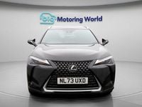 Used Lexus UX 150 kW (204 HP) 2024 SUV