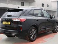 Used Ford Kuga ST-Line 225 HP (165 kW) 2023 SUV