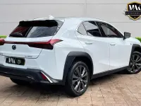 Used Lexus UX 250h Sport Design Packet 2023 White SUV