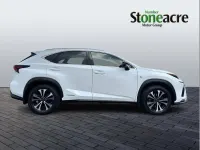 Used Lexus NX300h Sport Line 194 HP (142 kW) 2021 White SUV