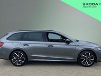 Used Skoda Octavia SportLine 150 HP (110 kW) 2025 Grey Estate