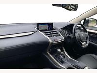 Used Lexus NX300h Sport Line 197 HP (144 kW) 2021 Grey SUV