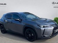Used Lexus UX 250h 184 HP (135 kW) 2024 SUV