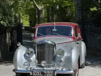 Used Bentley R Type 1954 Red/silver Sedan