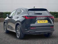 Used Lexus NX450h+ 2024 Black SUV