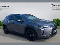 Used Lexus UX 250h 180 HP (132 kW) 2022 Grey SUV