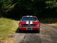 Used Ford Mustang 1966 Yellow Coupe