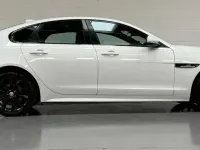 Used Jaguar XF R-Sport 180 HP (132 kW) 2018 White Sedan