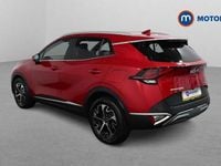 Used Kia Sportage 209 HP (153 kW) 2024 SUV