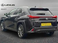 Used Lexus UX 250h Sport Design Packet 184 HP (135 kW) 2023 Black SUV
