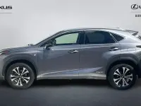 Used Lexus NX300h Sport Line 197 HP (144 kW) 2017 Grey SUV