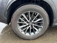 Used Lexus NX350h 239 HP (175 kW) 2023 Grey SUV