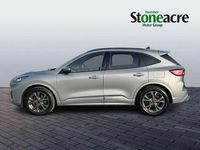 Used Ford Kuga ST-Line 190 HP (139 kW) 2024 Silver SUV