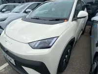 New BYD Dolphin Surf Boost 64 kW (88 HP) 2026 Hatchback