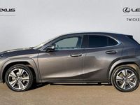 Used Lexus UX 150 kW (204 HP) 2022 SUV