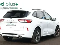 Used Ford Kuga ST-Line 190 HP (139 kW) 2023 White SUV