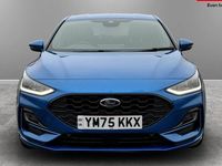Used Ford Focus ST-Line X 125 HP (91 kW) 2024 Hatchback