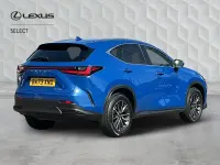 Used Lexus NX350h 2023 Blue Estate