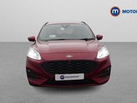 Used Ford Kuga ST-Line 150 HP (110 kW) 2020 Red SUV