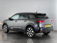 Used Citroën C4 Cactus Flair 110 HP (80 kW) 2020 Grey Hatchback