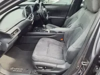 Used Lexus UX 150 kW (204 HP) 2024 Grey SUV