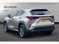 Used Lexus NX450h+ 306 HP (225 kW) 2023 Silver SUV