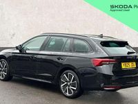 Used Skoda Octavia 2025 Estate