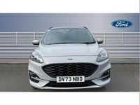 Used Ford Kuga 150 HP (110 kW) 2023 Grey SUV