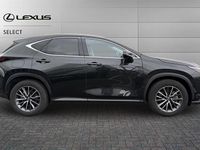 Used Lexus NX450h+ 309 HP (227 kW) 2024 Black SUV