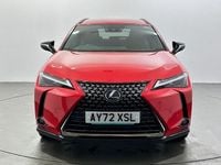 Used Lexus UX 250h 184 HP (135 kW) 2024 SUV