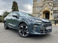 Used Cupra Terramar 2025 Blue SUV