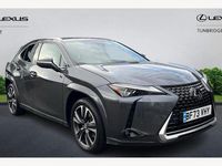Used Lexus UX 250h 184 HP (135 kW) 2024 SUV