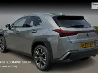 Used Lexus UX 184 HP (135 kW) 2024 SUV