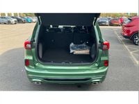 Used Ford Kuga ST-Line 243 HP (178 kW) 2025 Green SUV