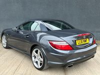 used Mercedes SLK200 SLK-ClassBlueEFF AMG Sport Ed 125 2dr Tip Auto