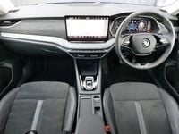 Used Skoda Octavia SE L 150 HP (110 kW) 2024 Blue Estate