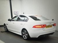 Used Jaguar XE R-Sport 200 HP (147 kW) 2019 White Sedan