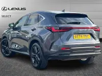 Used Lexus NX450h+ 306 HP (225 kW) 2024 Grey SUV