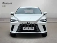 Used Lexus RX350h 2026 White Estate