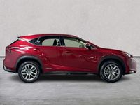 Used Lexus NX300h 2020 Red SUV