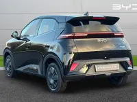 New BYD Dolphin Active 30 kW (41 HP) 2026 Black Hatchback