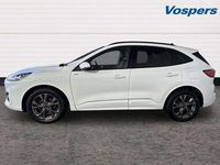 Used Ford Kuga ST-Line 150 HP (110 kW) 2023 White SUV